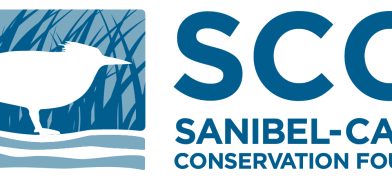 SCCF