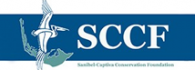 SCCF