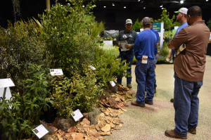 Landscapers looking at a display at the Native Plant Show