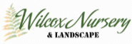 Wilcox Nursery & Landscape in Largo Florida Pine Sponsor Native Plant Show