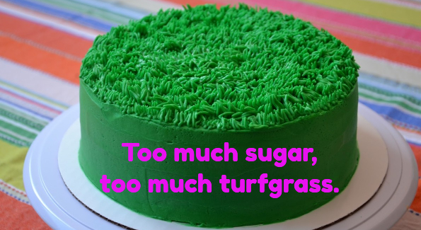 Too much sugar, too much turfgrass - why not ASK THE DESIGNER!