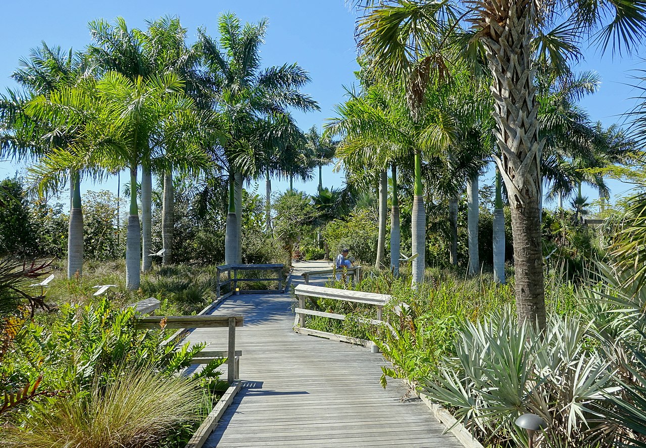 Boardwalk at the Naples Botanical Garden
