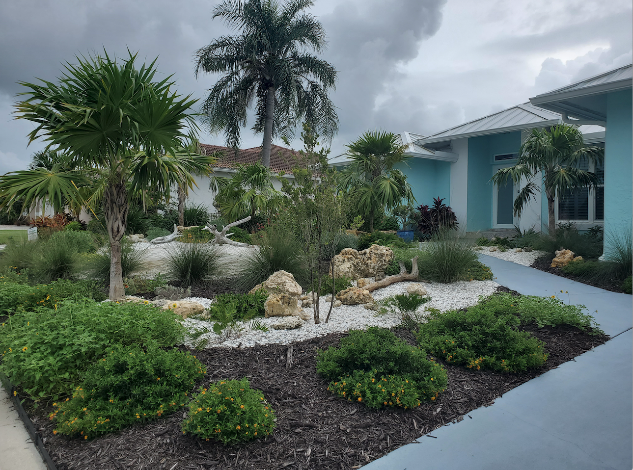 Award winning Marco Island native landscape