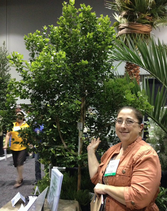 Michelle Phelps of Native Tree Nursery with Black Ironwood specimen at show