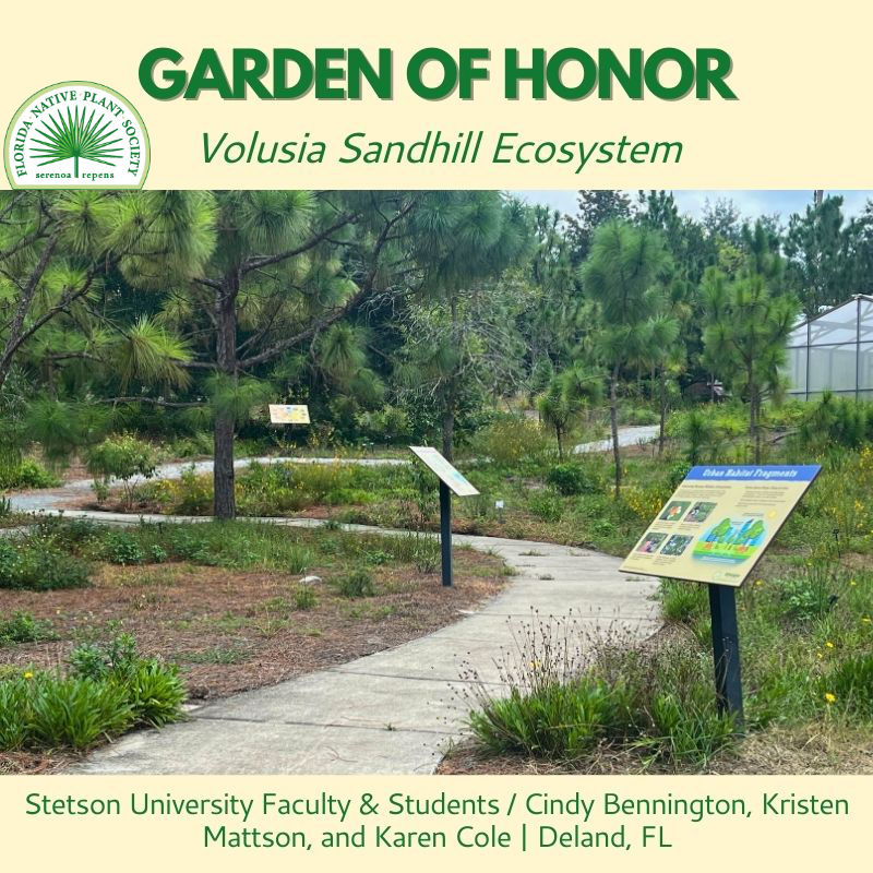 Stetson University Volusia Sandhill Ecosystem awarded Garden of Honor by Florida Native Plant Society